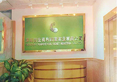 公司發(fā)展歷程
